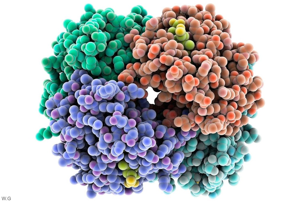 Human CHI3L1 (Chitinase-3-Like Protein 1) ELISA Kit - 48 Tests
