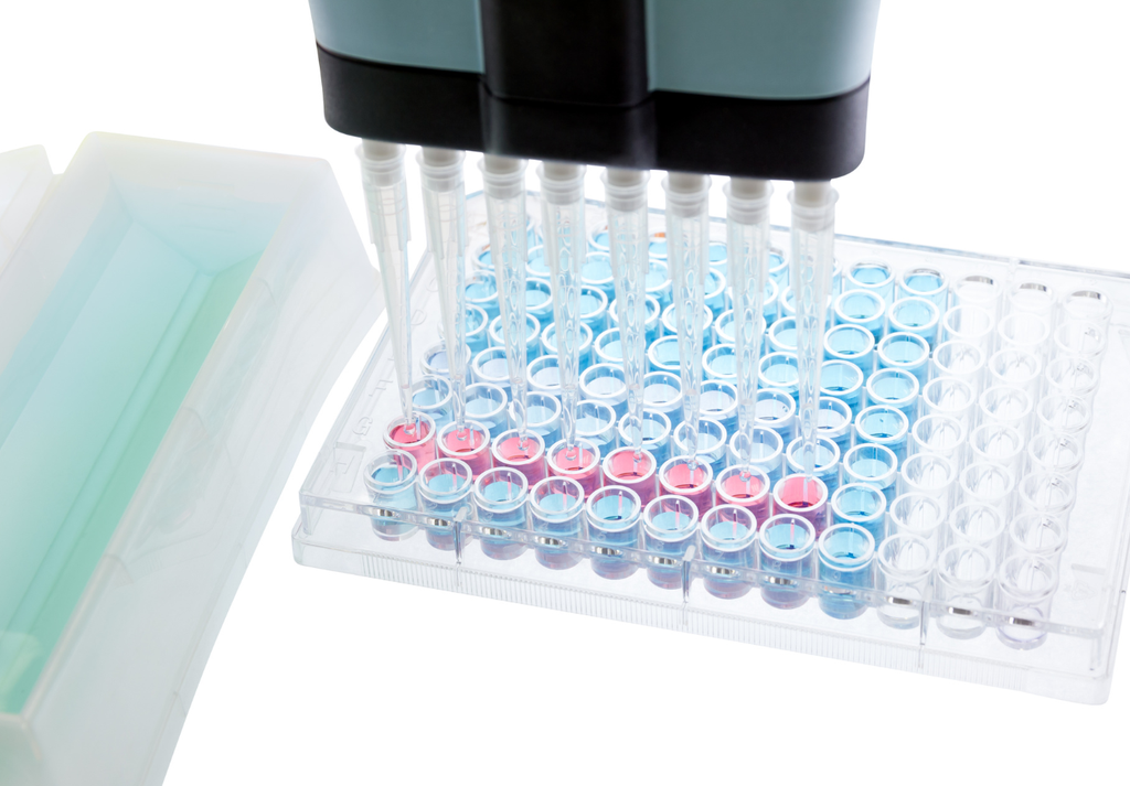 Aquaporin-4 - Human - Elisa Kit