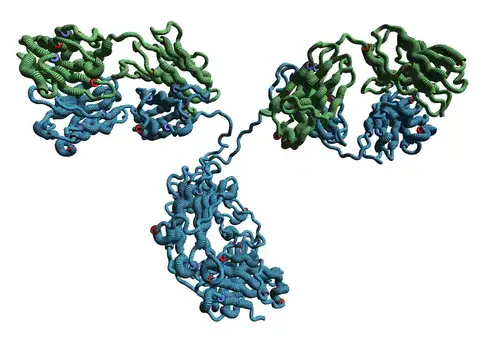 Armenian Hamster IgG (isotype control) (Clone: ttko2)