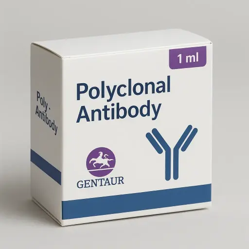 ArgF Polyclonal Antibody, FITC Conjugated