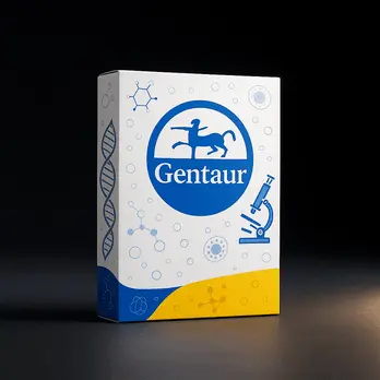 [FM-COS-2] Gentaur Copan swabs, 2-pack (1 pack) - 1 pack